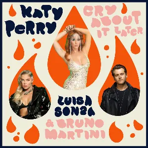 Pochette de Cry About It Later de Katy Perry - Luísa Sonza