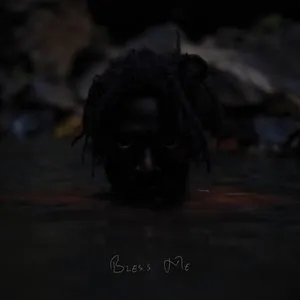 Pochette de Bless Me de Moses Sumney