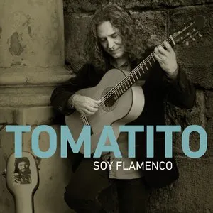 Pochette Soy flamenco