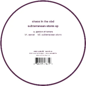 Pochette de Subterranean Storm EP de Chaos in the CBD