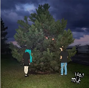 Pochette de stupid horse de Hatsune Miku