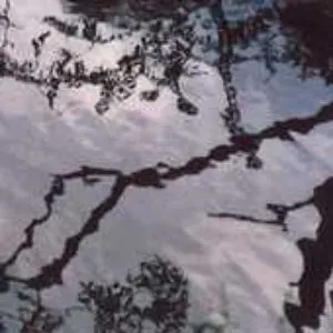 Pochette de Seven Seven de Machine Translations