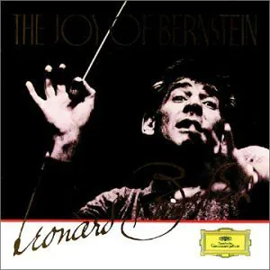 Pochette The Joy of Bernstein