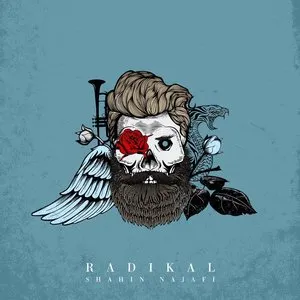 Pochette de Radikal de Shahin Najafi