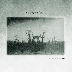 Pochette de Prospectus I de raison d’être