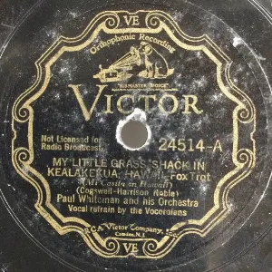 Pochette de My Little Grass Shack in Kealkekua Hawaii / It's an Old Fashioned World After All de Paul Whiteman and His Orchestra