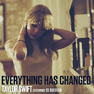 Pochette Everything Has Changed