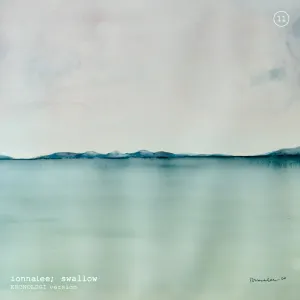 Pochette de swallow de ionnalee
