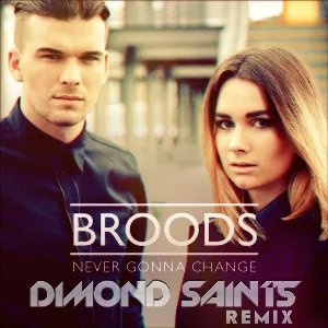 Pochette Never Gonna Change (Dimond Saints remix)