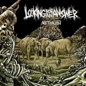 Pochette de Extinción de Looking for an Answer