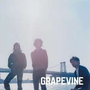 Pochette de 疾走 de GRAPEVINE