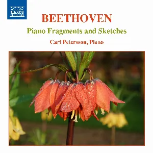 Pochette Piano Fragments and Sketches