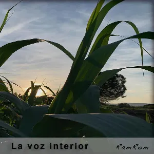 Pochette de La voz interior de RamRom