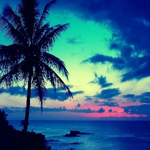 Pochette de Hawaii de Juan RIOS