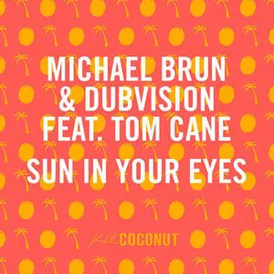 Pochette de Sun In Your Eyes de Michaël Brun