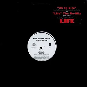 Pochette 25 To Life / Life (Re-Mix)