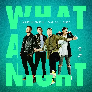 Pochette de What a Night de Martin Jensen