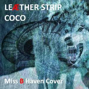 Pochette Coco (Miss B Haven cover)