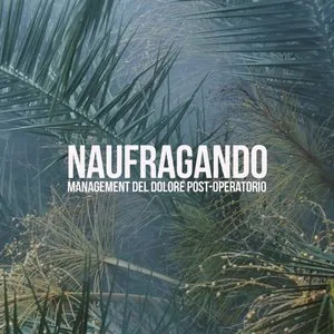 Pochette de Naufragando de The Cherry Blues Project