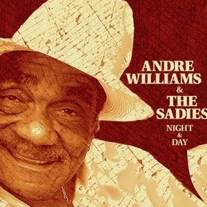 Pochette de Night & Day de The Sadies