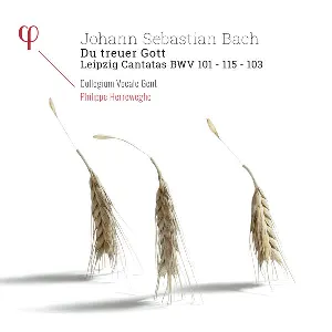 Pochette Du treuer Gott: Leipzig Cantatas BWV 101 / 115 / 103