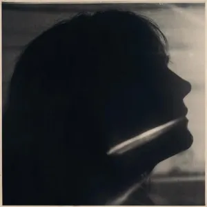 Pochette de I Just Need to Conquer This Mountain de Sarah Blasko
