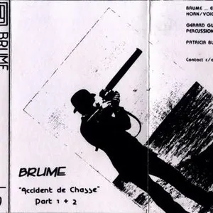 Pochette de Accident de chasse de Brume