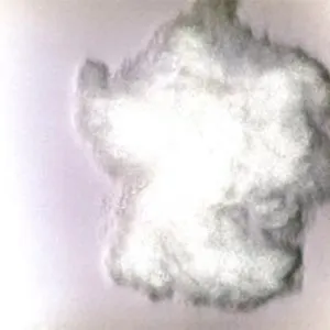 Pochette de Thermal de John Butcher - Thomas Lehn