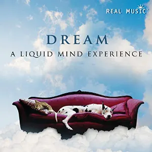 Pochette Dream: A Liquid Mind Experience