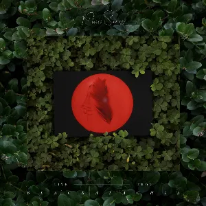 Pochette de Live From Blackalachia de Moses Sumney