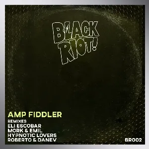 Pochette de Black Riot 02 de Amp Fiddler