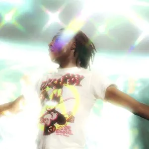 Pochette de WLR Leaks and Beyond de Playboi Carti