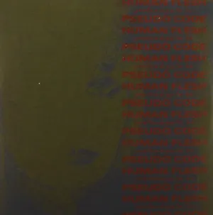 Pochette de Pretending To Be Pseudo Code de Human Flesh