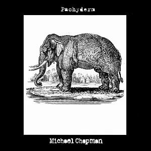 Pochette de Pachyderm de Michael Chapman