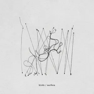 Pochette de birds / surfers de Plini