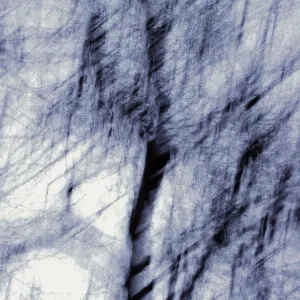 Pochette de Fieldwork de Mind over MIDI