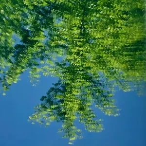 Pochette de Orokanakaze (Locomotion edit) de Ueda Takayasu