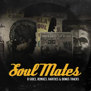 Pochette de Soul Mates: B-Sides, Remixes & Rarities (Vol. 3) de Amerigo Gazaway