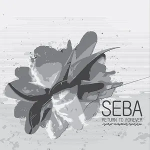 Pochette de Secret Operations Reissue Vol4 de Seba