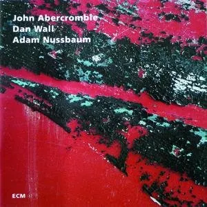 Pochette de While We're Young de John Abercrombie - Adam Nussbaum