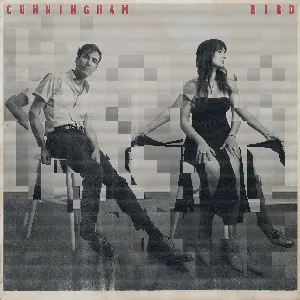 Pochette de Crying In The Night de Andrew Bird