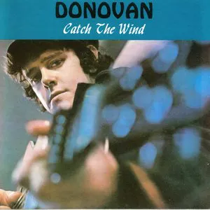 Pochette Catch the Wind: The Best of Donovan