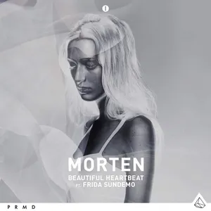 Pochette de Beautiful Heartbeat de MORTEN