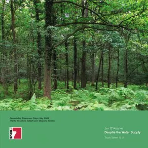 Pochette de Despite the Water Supply de Jim O’Rourke