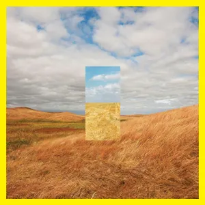Pochette de Standing In The Middle Of The Field (Tensnake Remix) de Cut Copy