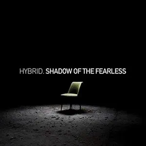 Pochette Shadow of the Fearless