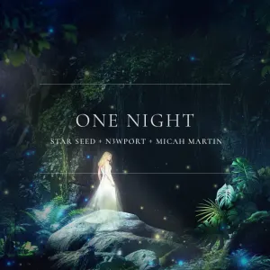 Pochette de One Night de Micah Martin