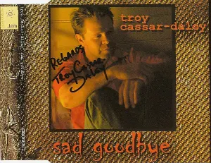 Pochette de Sad Goodbye de Troy Cassar-Daley