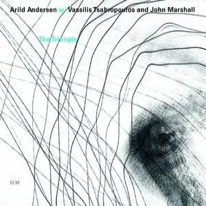 Pochette de The Triangle de Arild Andersen