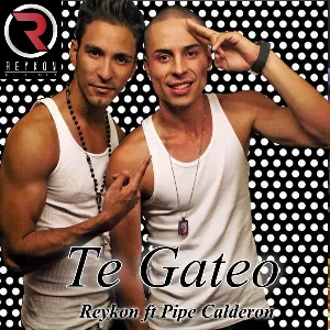 Pochette de Te gateo de Reykon